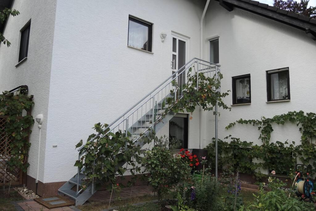 Apartment Am Kirschbaum *