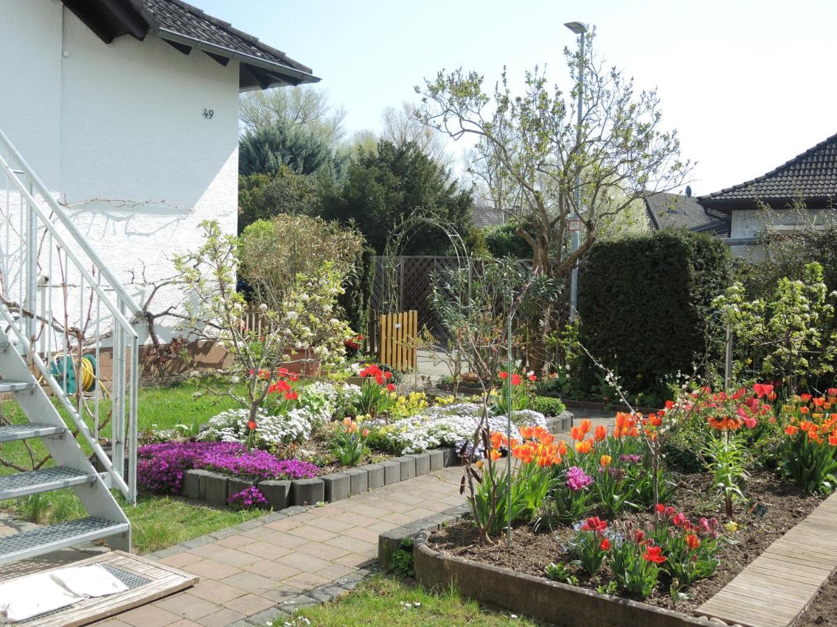Am Kirschbaum Mommenheim